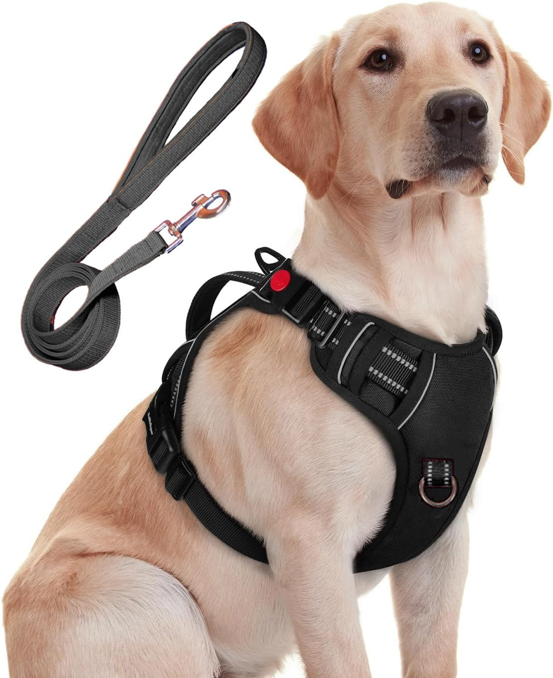 Harnais anti-traction pour chien avec combo de laisse petite taille