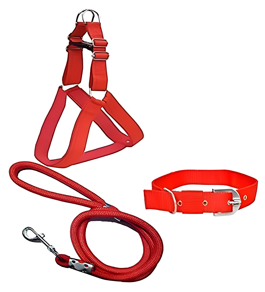 Harnais pour Chien, Collier et Laisse (Pack de 3)