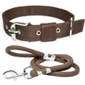 Ensemble collier et laisse réglable pour chien