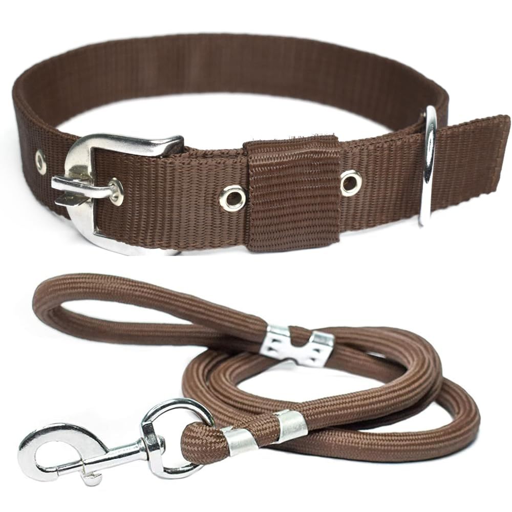 Ensemble collier et laisse réglable pour chien
