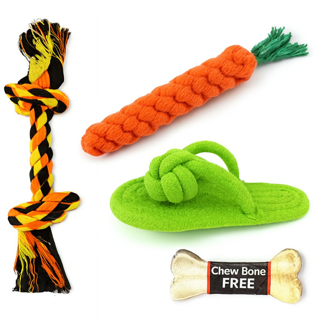 Jouets à mâcher en corde et os pour chien