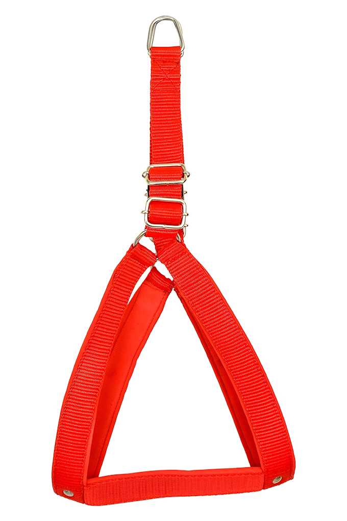Harnais Réglable pour Chien avec Ceinture Rembourrée
