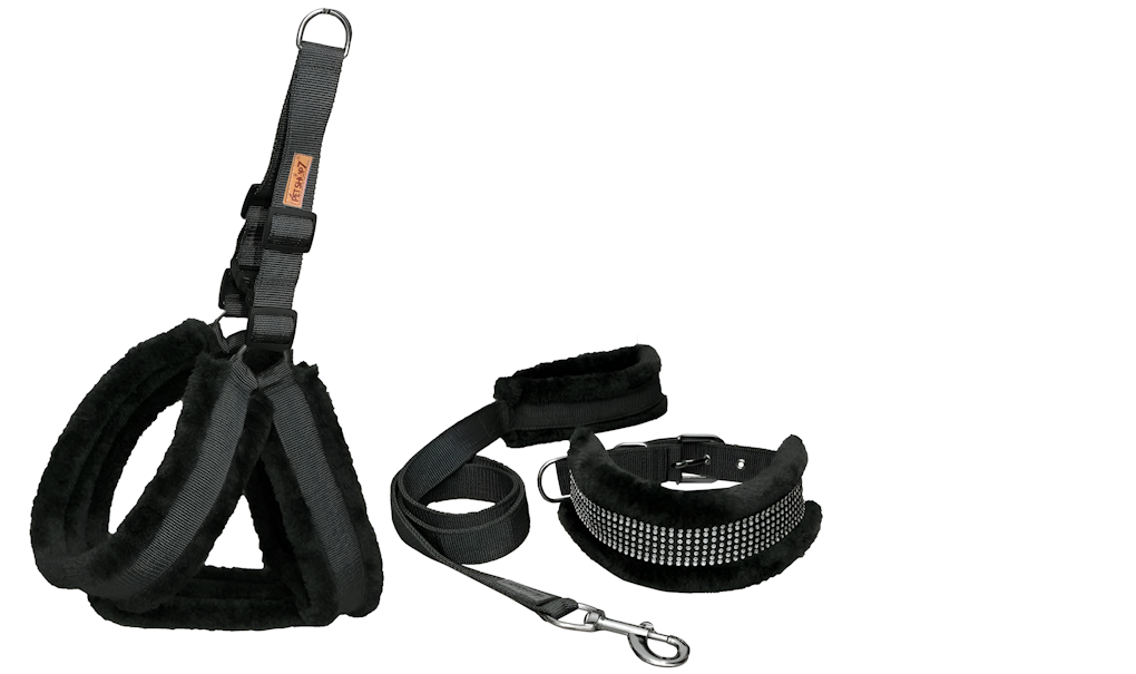 Harnais en Nylon Rembourré pour Chien, Collier et Laisse (Pack de 3)
