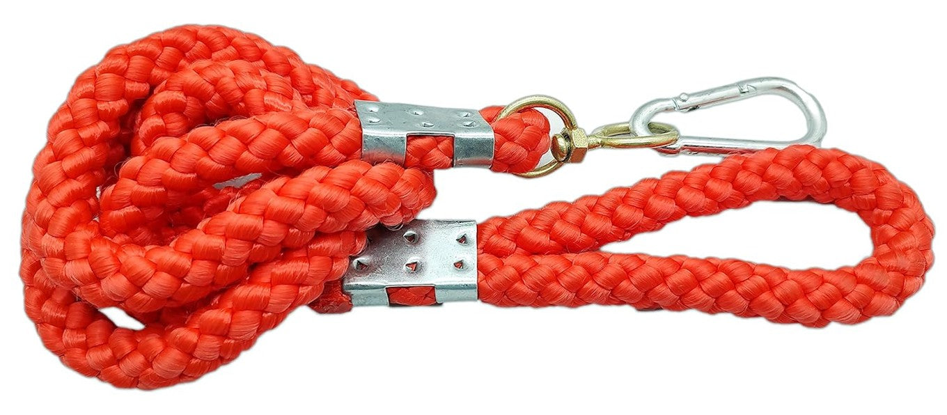 Laisse pour chien réfléchissante 20mm 170cm rouge