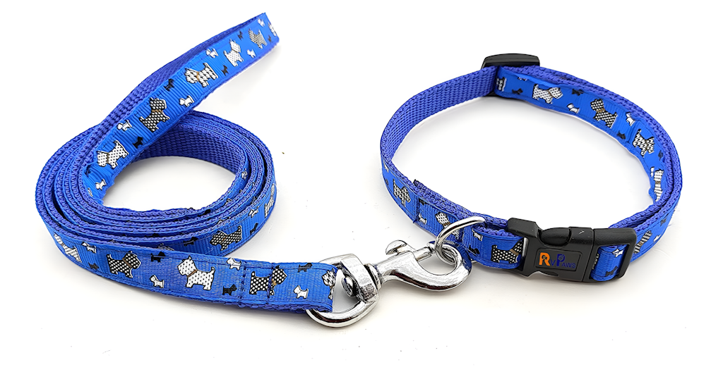 Ensemble de collier en nylon avec laisse pour chiot