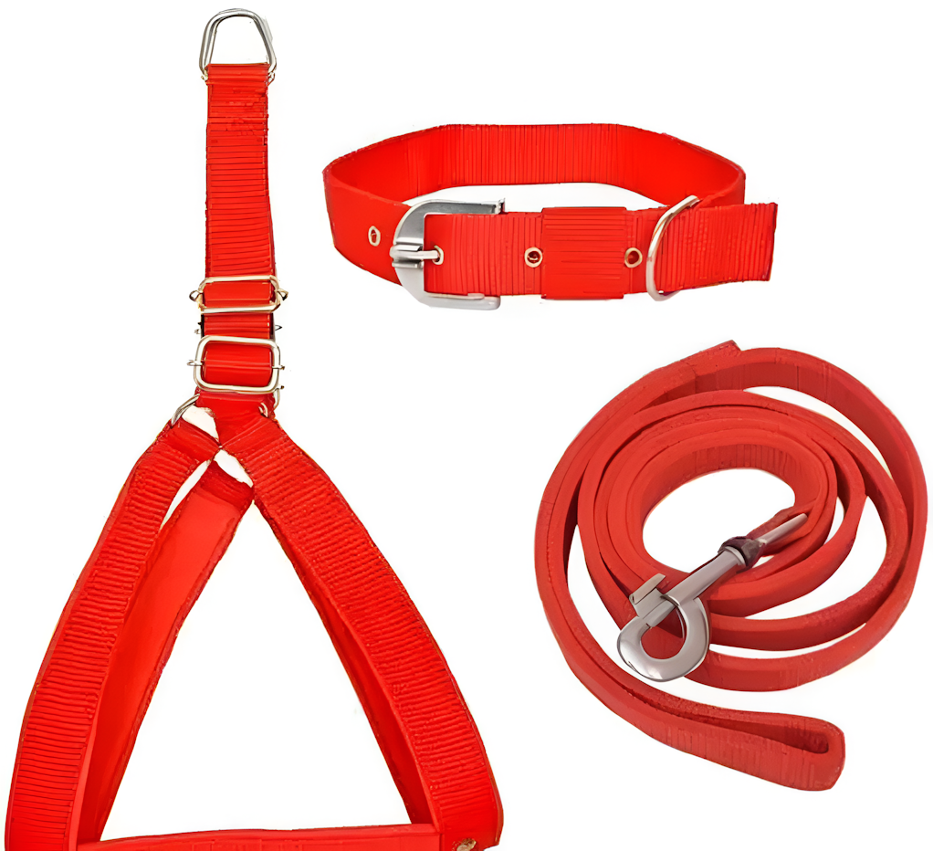 Harnais pour chien, collier et corde (Pack de 3)