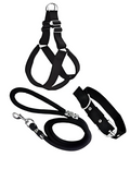 Ensemble Harnais, Collier et Laisse pour Chien