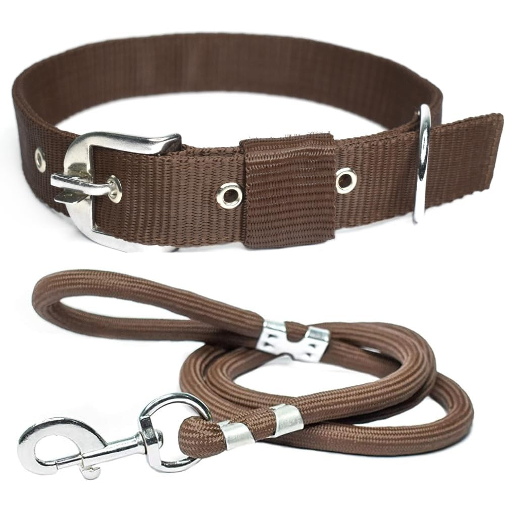 Ensemble collier et laisse réglable pour chien - 1,5 m