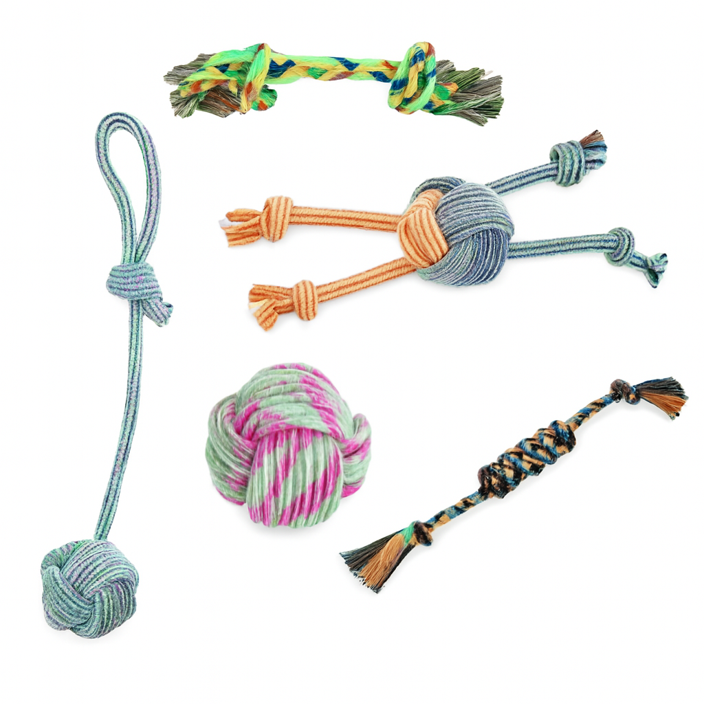 Pack de 6 Jouets en Corde Durables pour Chiens