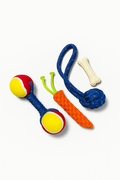 Ensemble de Jouets 5-en-1 pour Chien