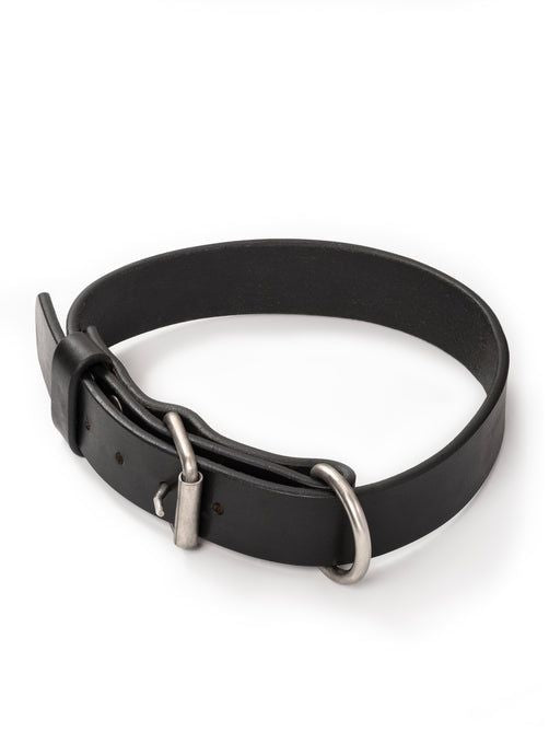 Collier en cuir pour chien