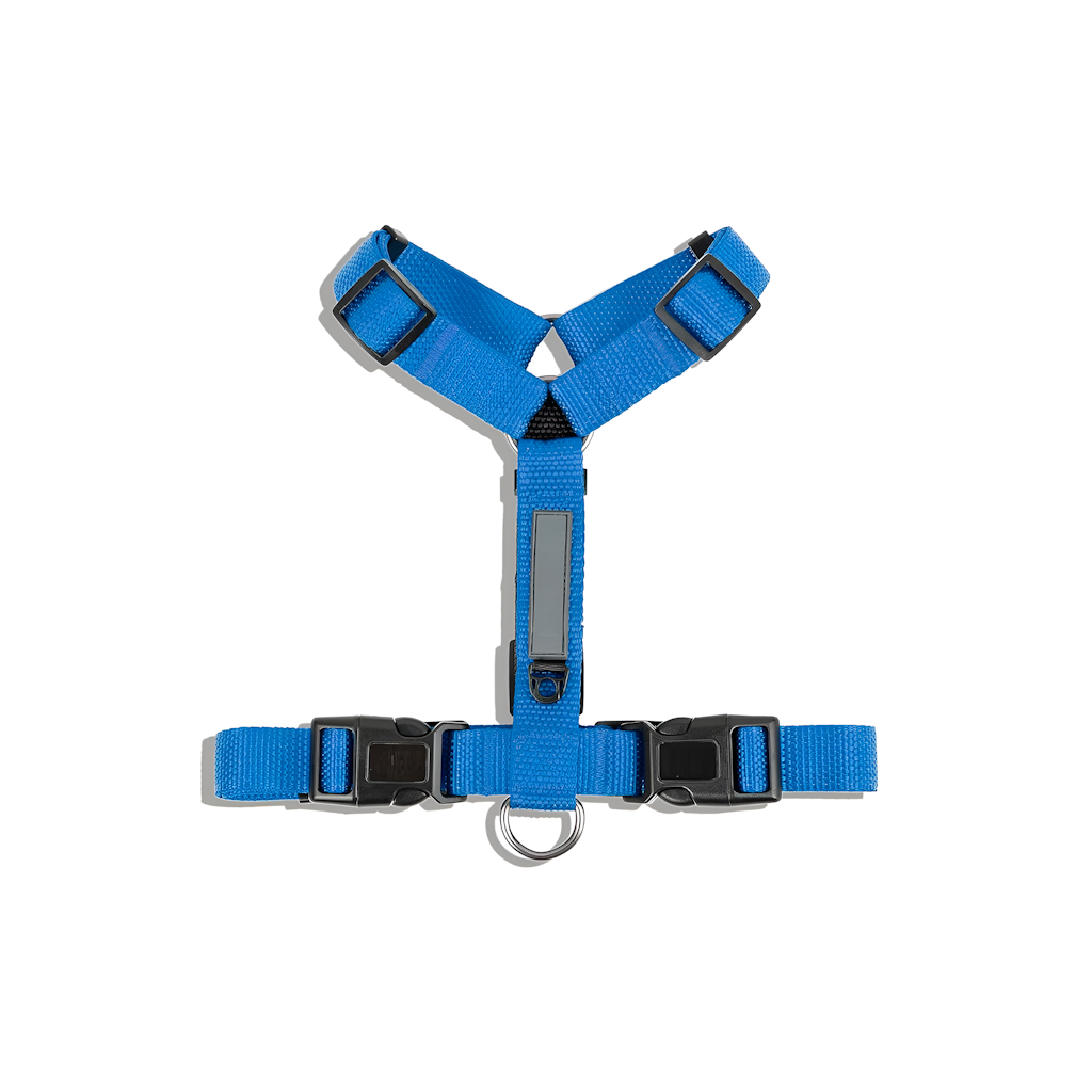 Harnais et collier pour chien - Taille 25x20x3 cm - Couleur bleue
