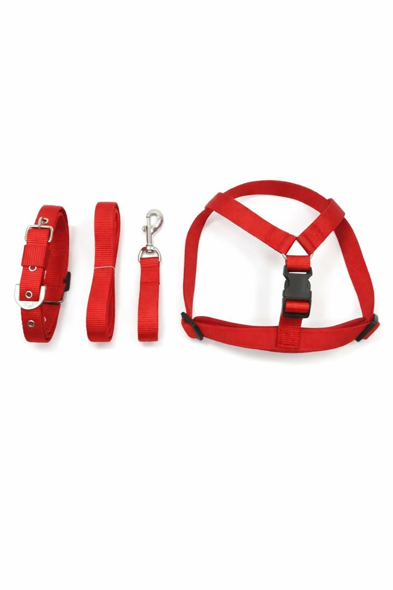 Ensemble harnais, collier et laisse pour chien rouge