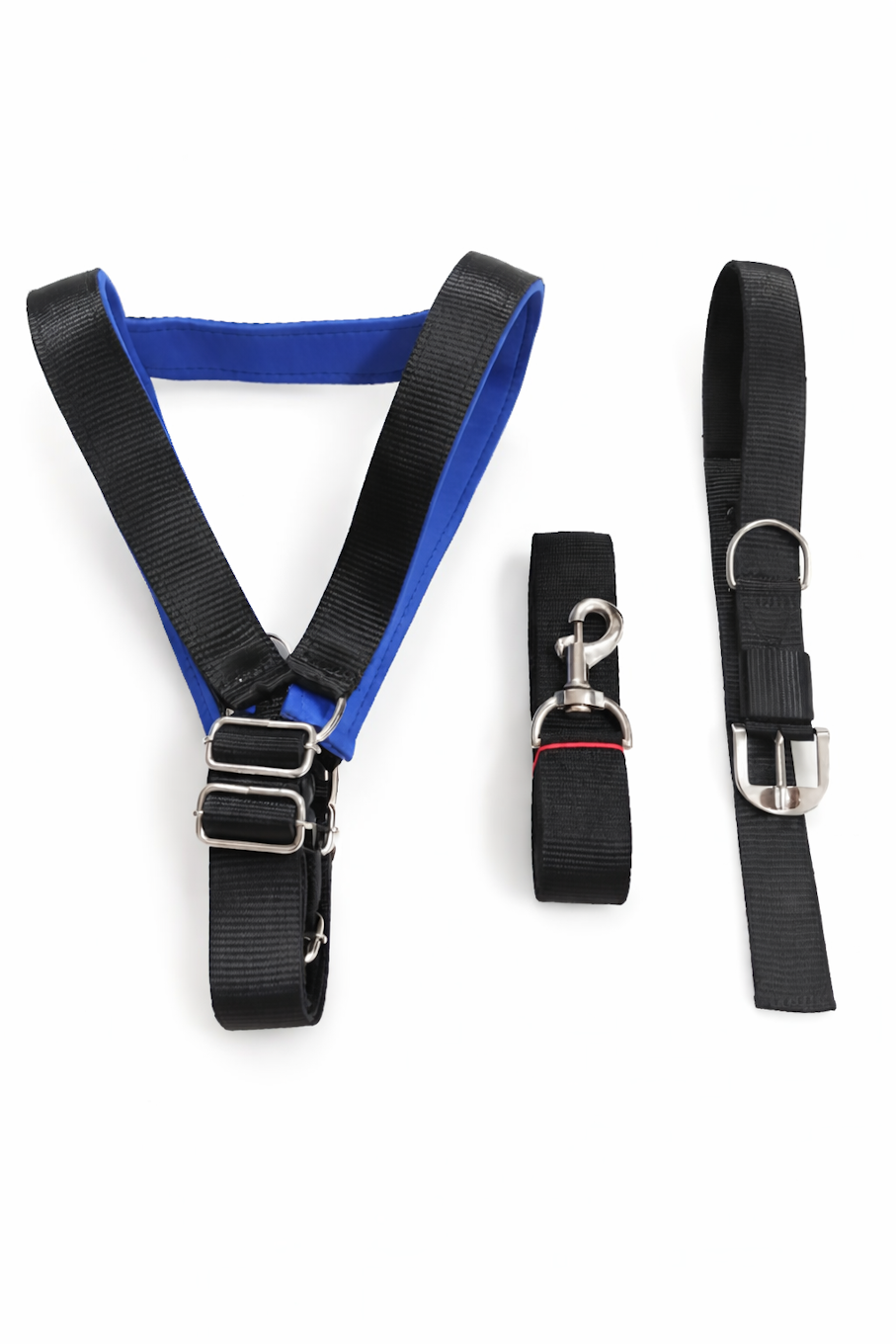 Harnais, Laisse & Collier Chien Bleu et Noir - 3 Pièces