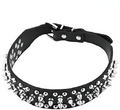 Collier en cuir pour chien design clouté