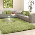 Shaggy Rugs Tapis Doux Toucher 5 cm Hauteur pour Chambre - VERT