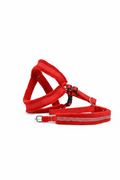 Ensemble Harnais et Collier en Velours Rouge pour Chien