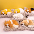 Jouet en Peluche Chien Endormi Mignon pour Décoration de Tableau de Bord de Voiture