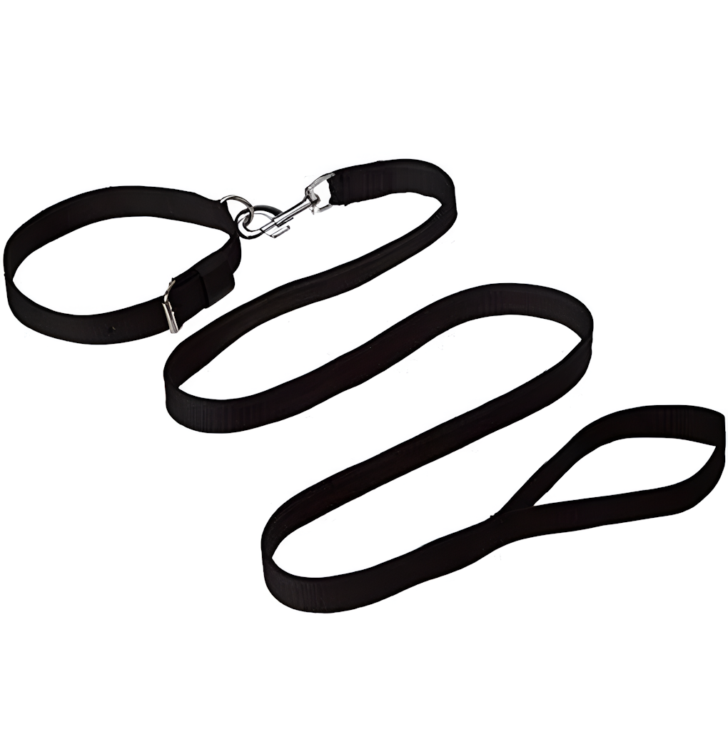 Collier en nylon avec laisse pour chat et petits chiens