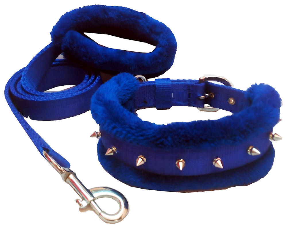 Collier et laisse pour chien en nylon rembourré
