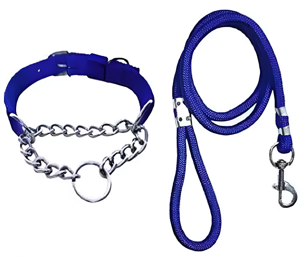 Collier et Laisse en Nylon pour Petit Chien (Pack de 2)