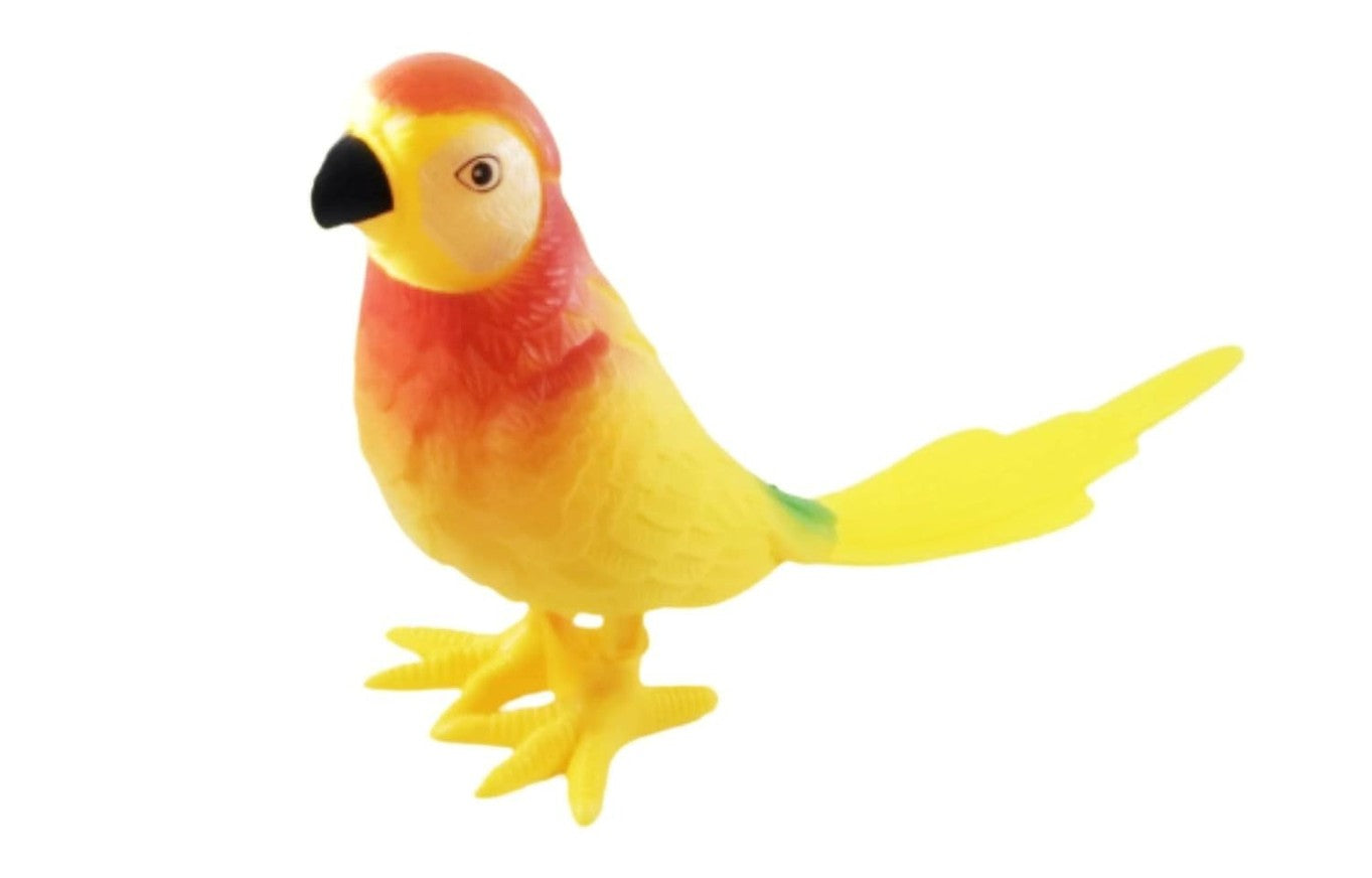 Birds Key Jouets pour Kids