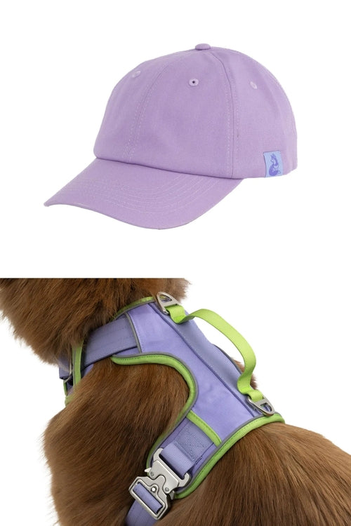 Casquette de Baseball avec Harnais Assorti