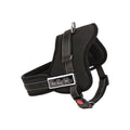 Harnais Réglable pour Chien avec Sangle de Contrôle