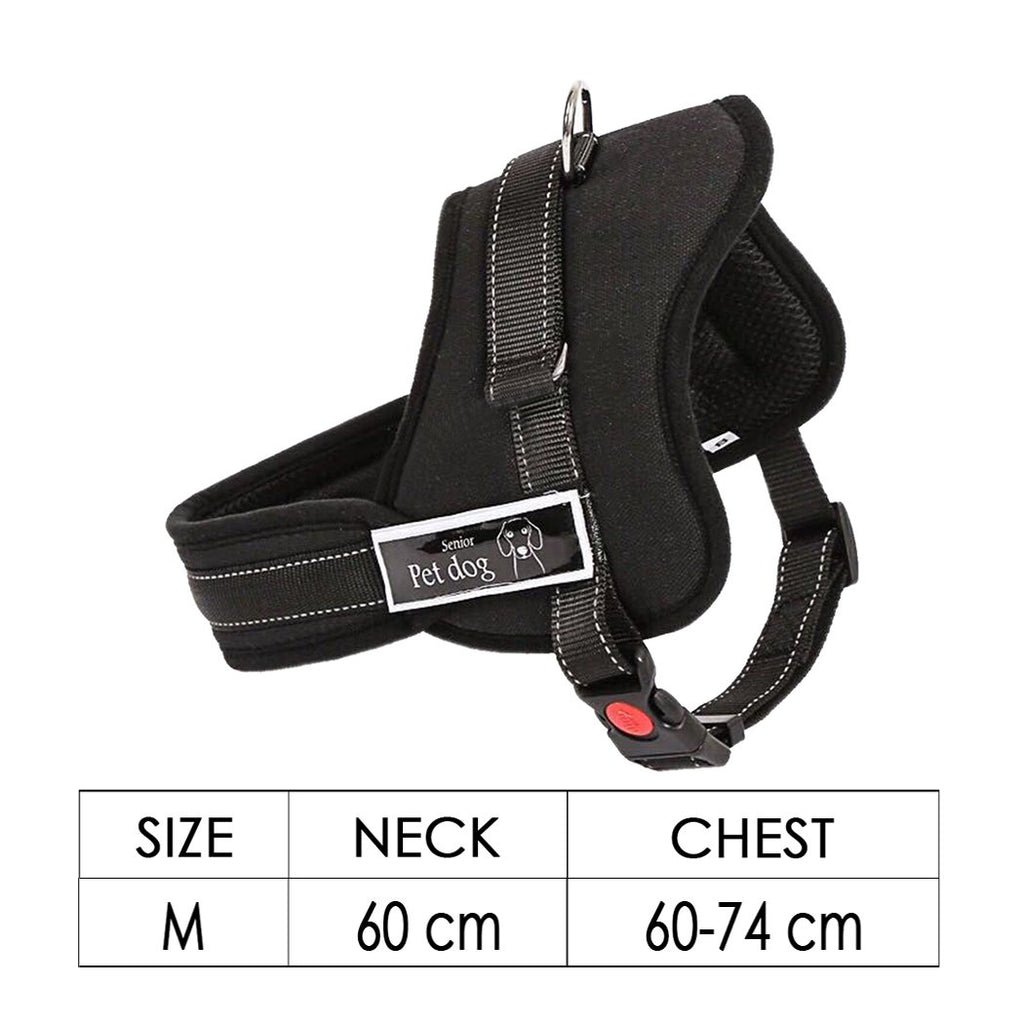 Harnais Réglable pour Chien avec Sangle de Contrôle