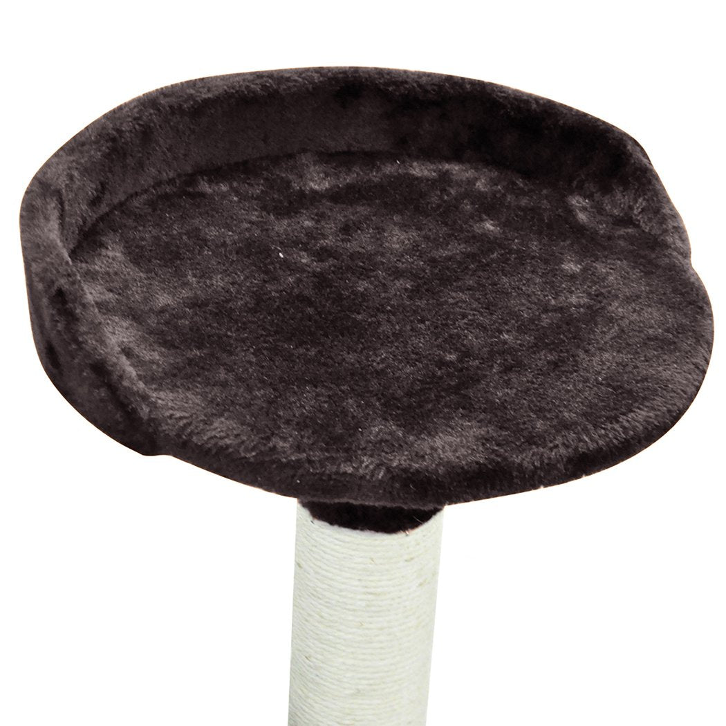 Arbre à chat PaWz avec griffoir, poteau, gymnase et condo