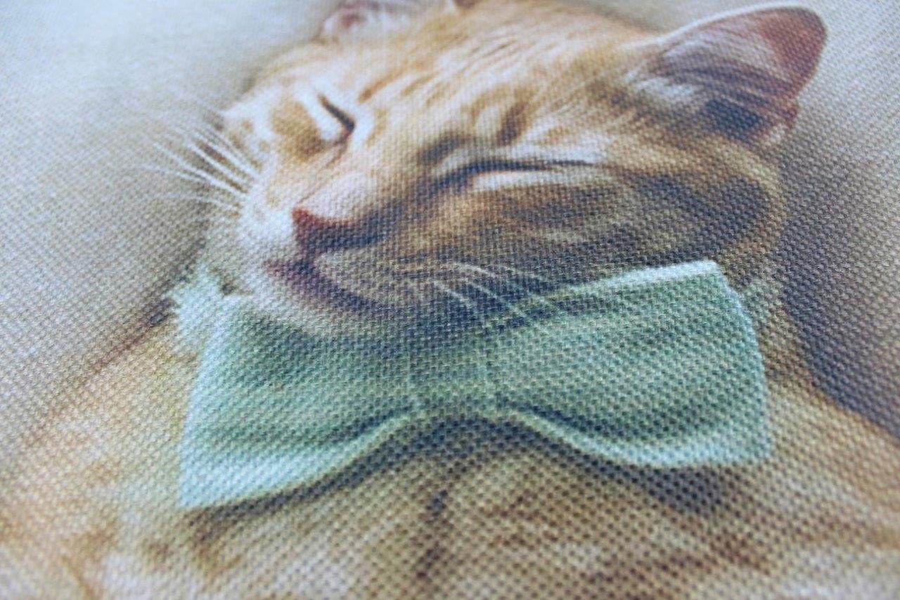 Chat | Patte de chat | Coussin chat | Chat mignon | Cadeaux chat | Décor chat | Chat