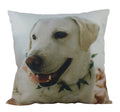 Coussin Labrador