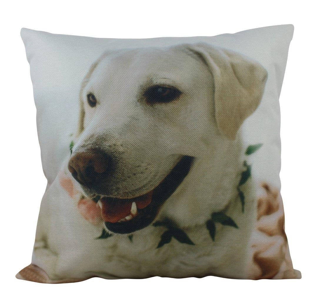 Coussin Labrador