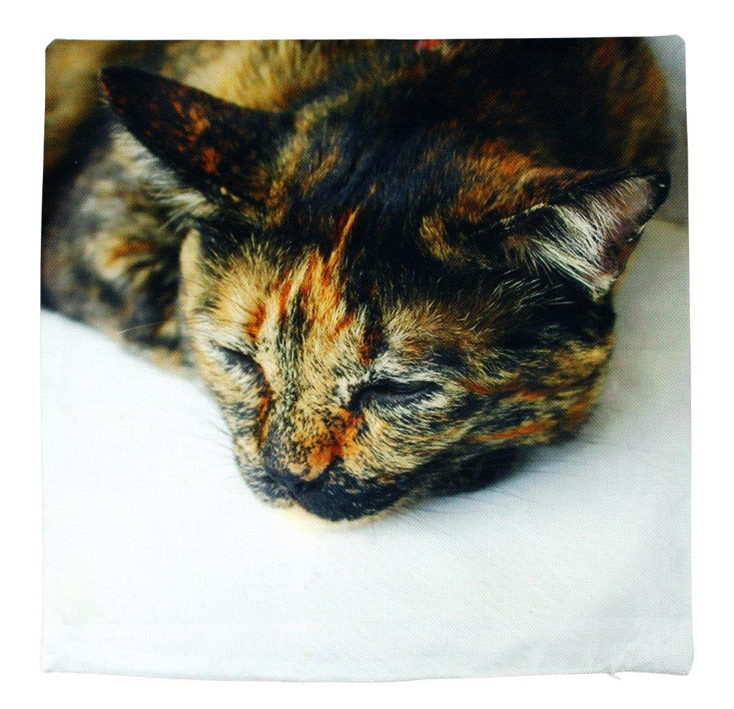 Housse de Coussin Chat Calico Dormant
