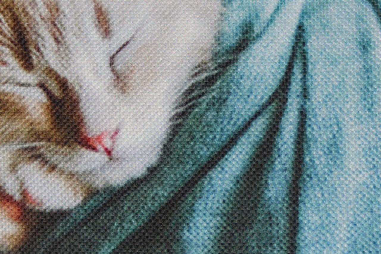 Chat | Chat Dormeur | Coussin Chat | Chat Mignon | Cadeaux Chat | Décor Chat |