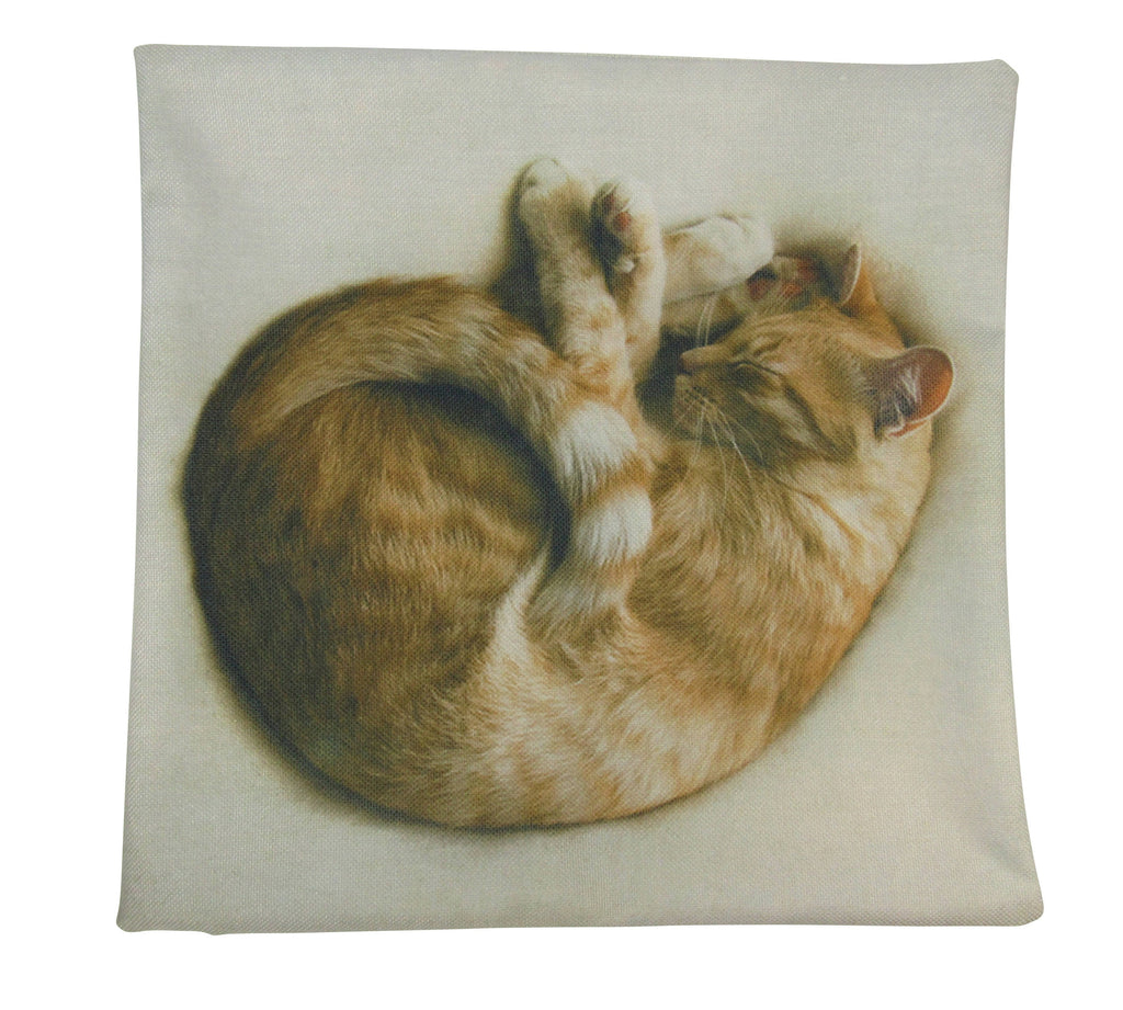 Coussin pour chat Dormant
