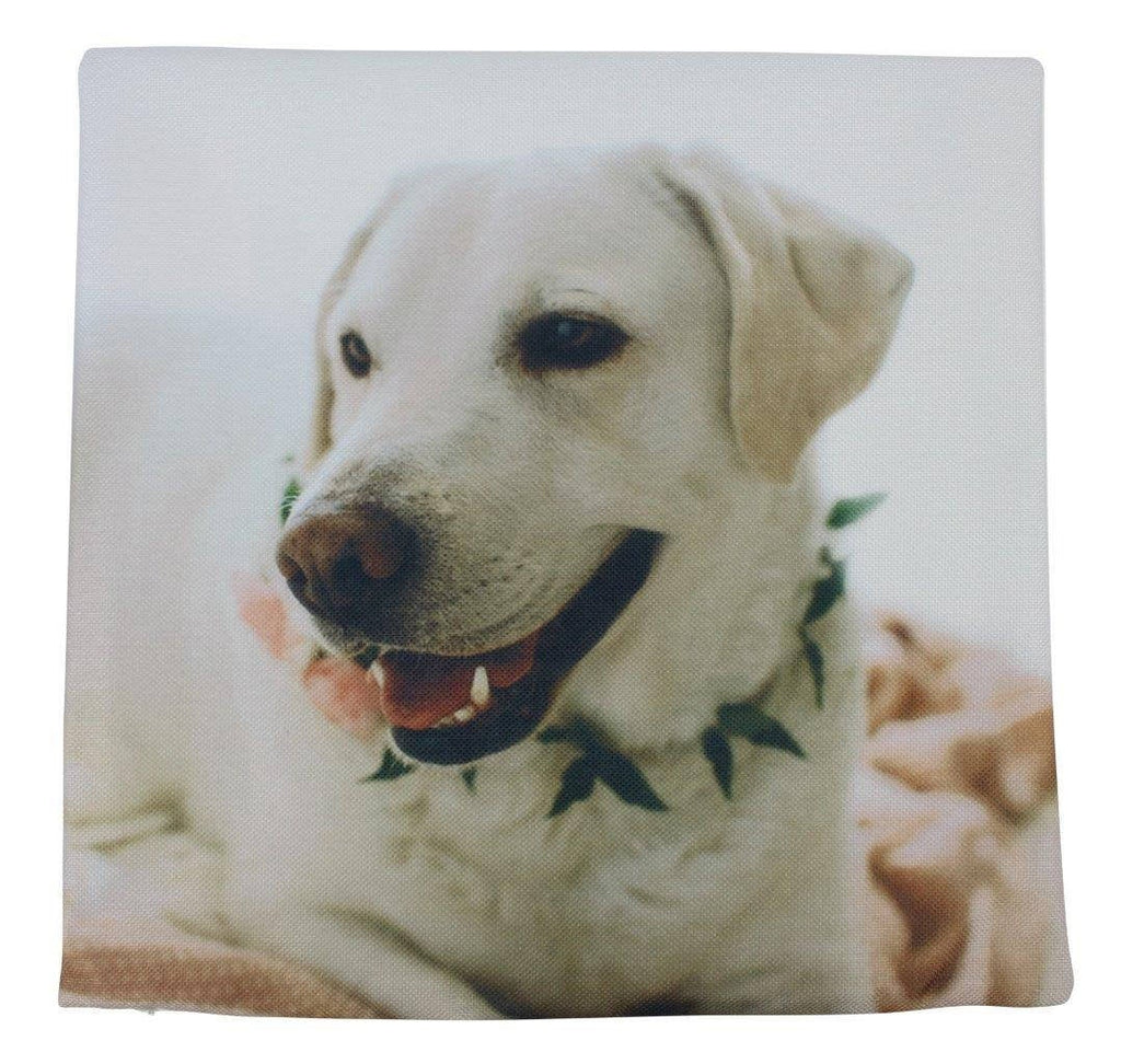 Coussin Labrador