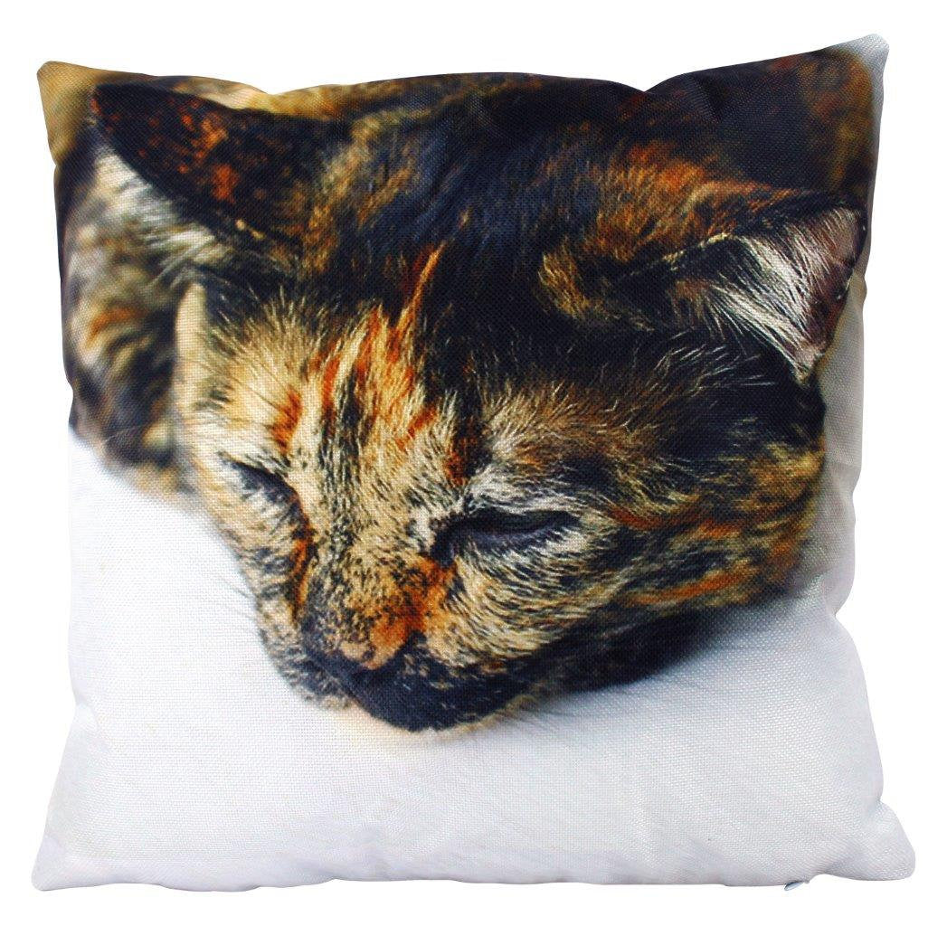 Housse de Coussin Chat Calico Dormant