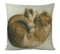 Coussin pour chat Dormant