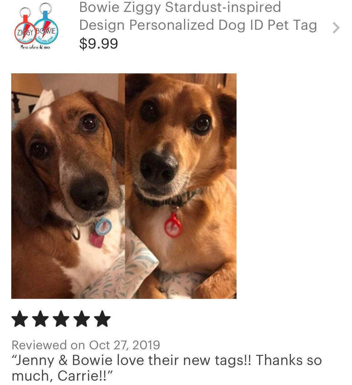 Porte-Étiquette d'Identité Personnalisé pour Chien Bowie Ziggy Stardust - Choisissez Taille et Couleurs