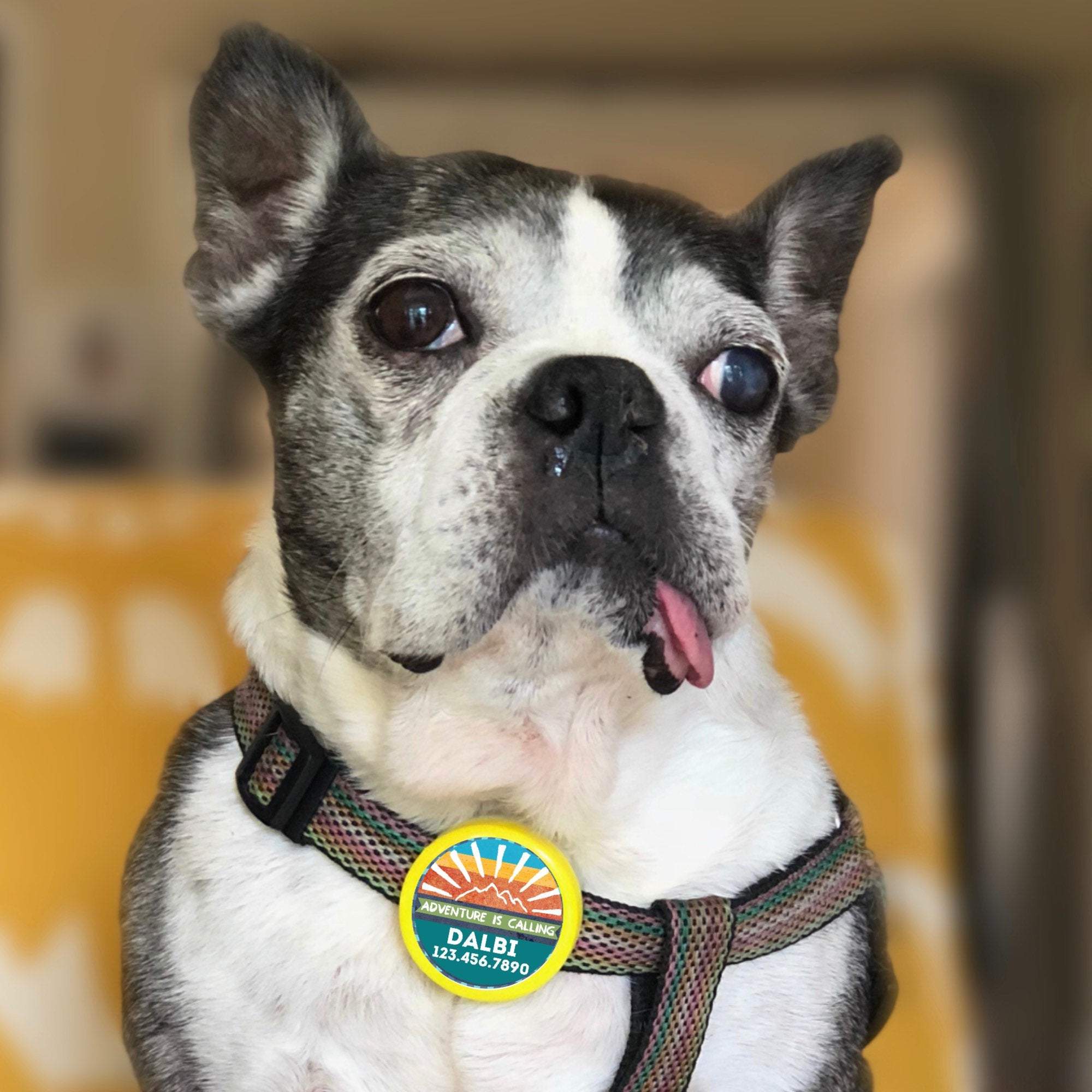 Adventure Is Calling Tag- Silent, Eco-Friendly, Ringless ID Tag pour