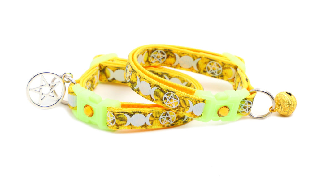 Familiar de Sorcière sur Collier de Chat Topaze