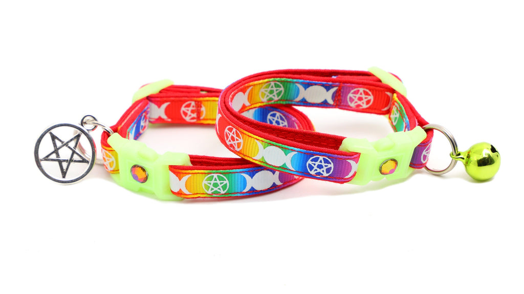 Collier Arc-en-Ciel pour Chat