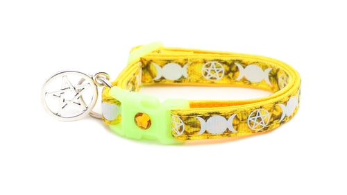 Familiar de Sorcière sur Collier de Chat Topaze