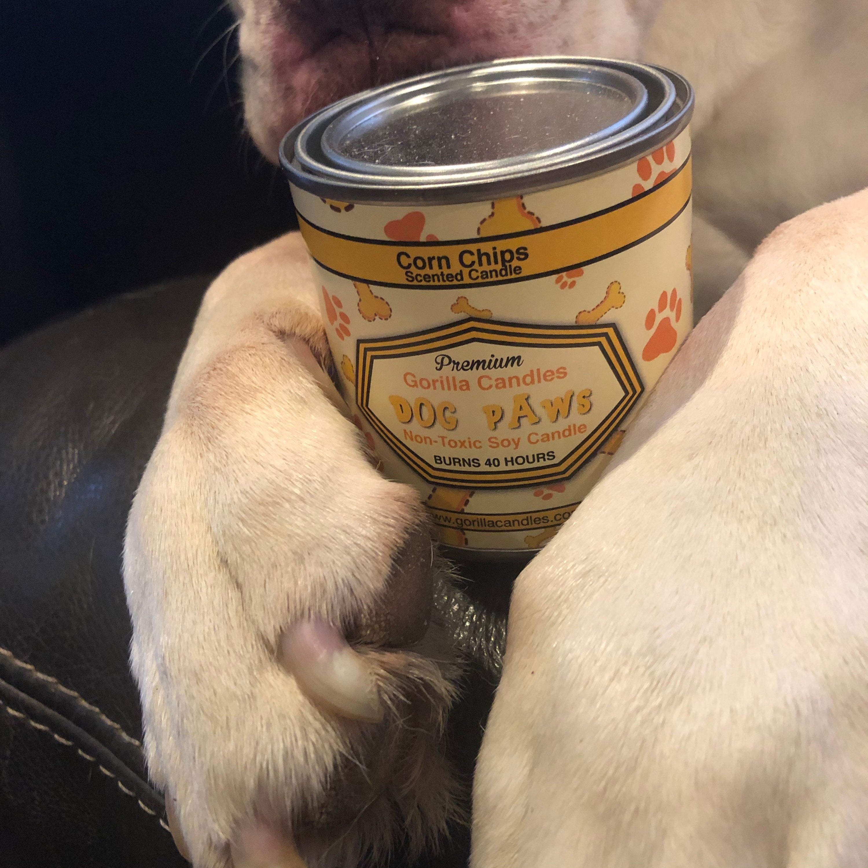 Bougie Parfumée Pattes de Chien
