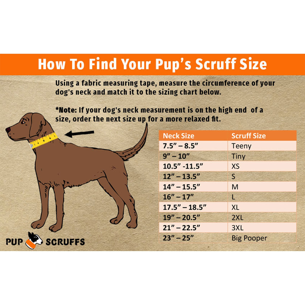 Accessoire de Mode pour Chien