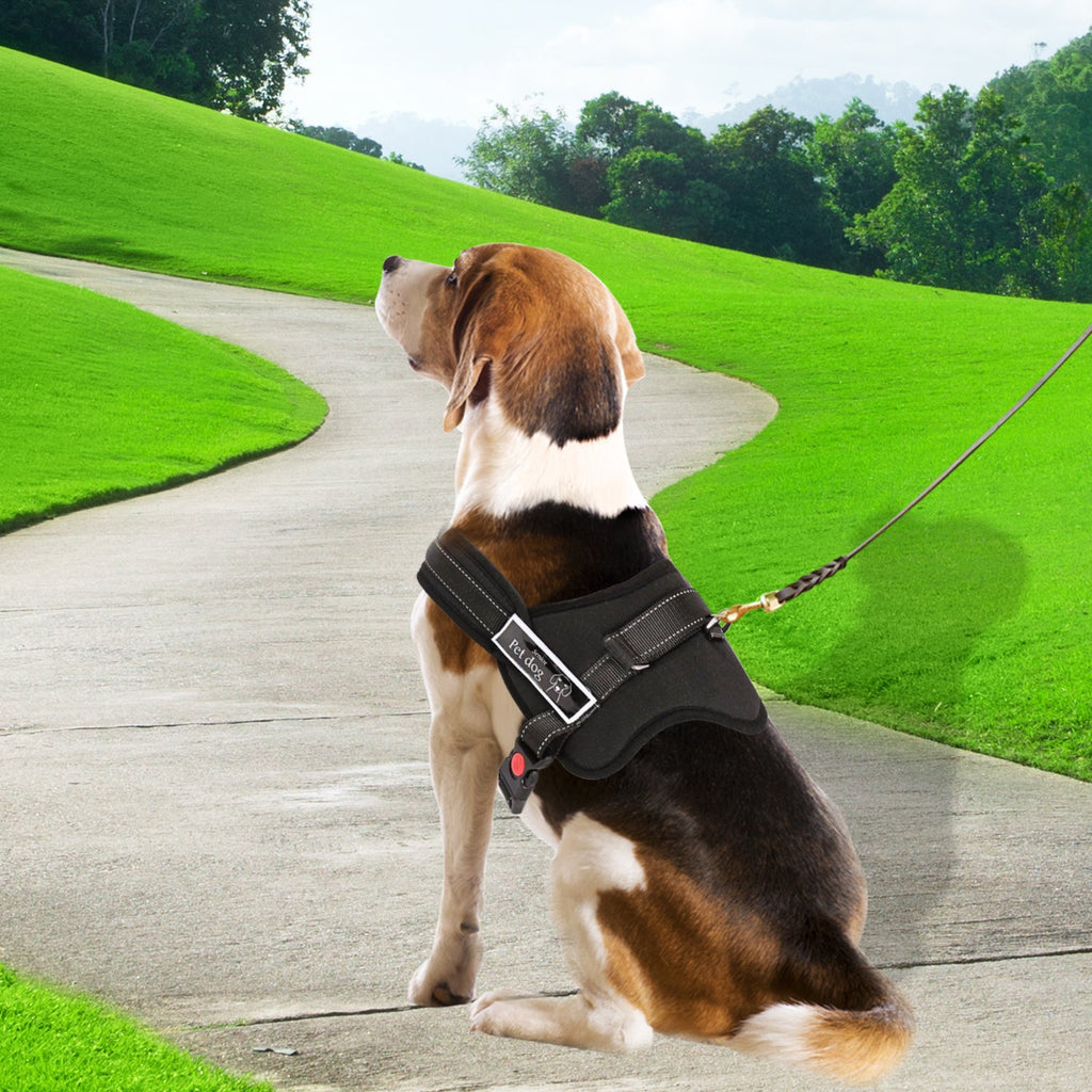Harnais Réglable pour Chien avec Sangle de Contrôle