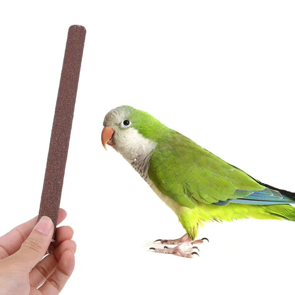 Perches pour oiseaux en cage
