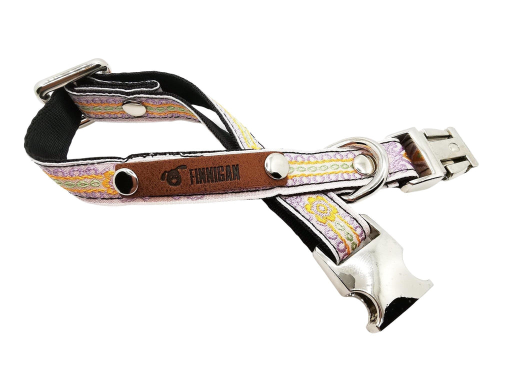 Collier Chien Personnalisé pour Petits Chiens