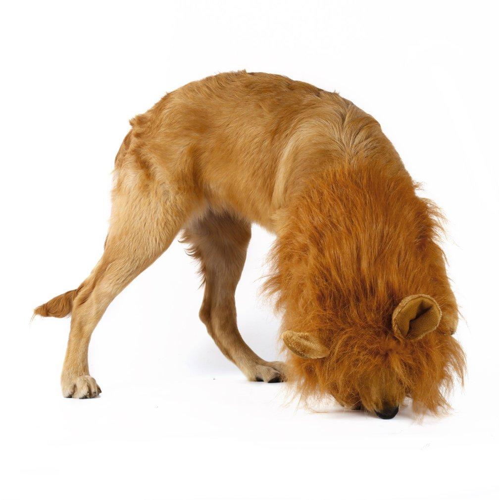 Perruque de Chien Thème Lion